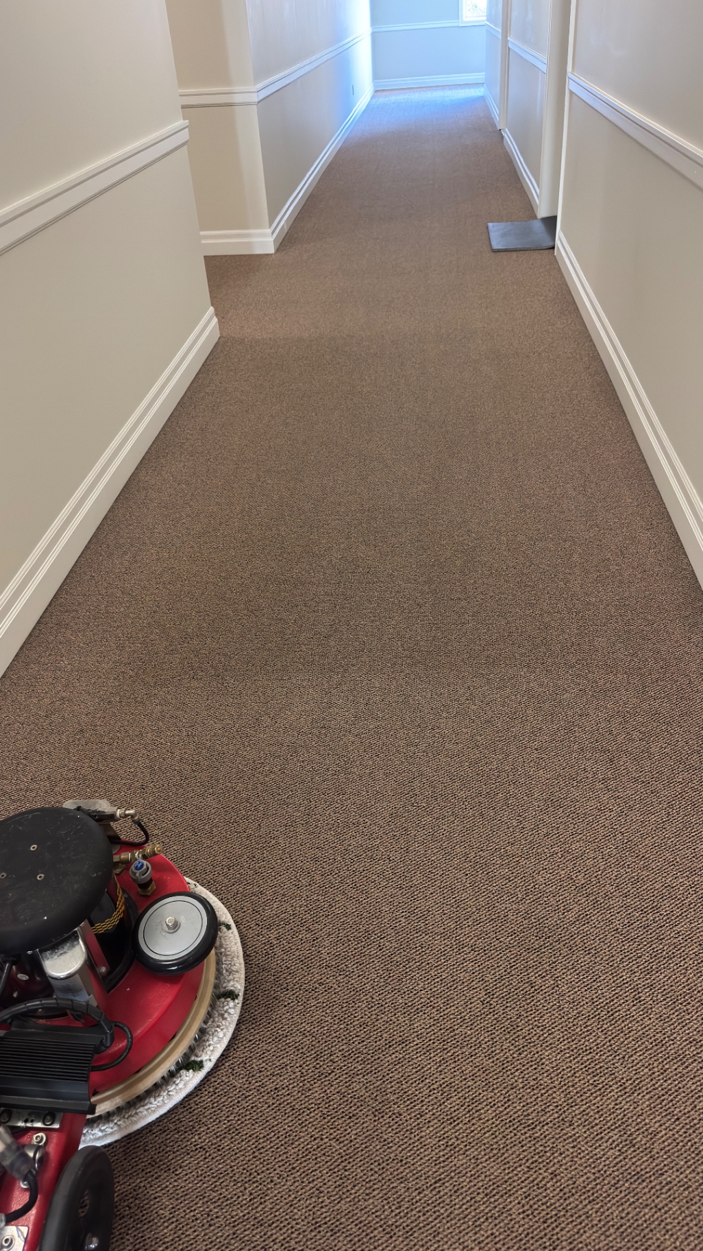Professional Commercial Carpet Cleaning in Chilliwack