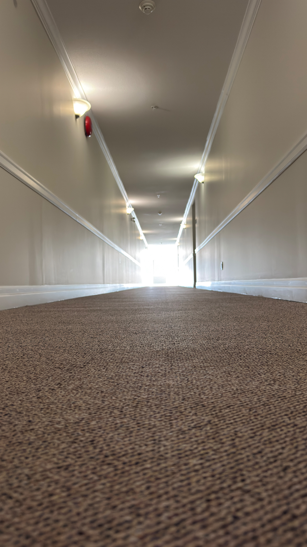 Before and after strata carpet cleaning comparison